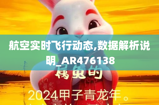 航空实时飞行动态,数据解析说明_AR476138