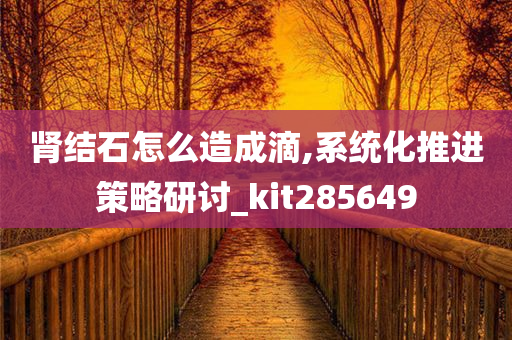 肾结石怎么造成滴,系统化推进策略研讨_kit285649