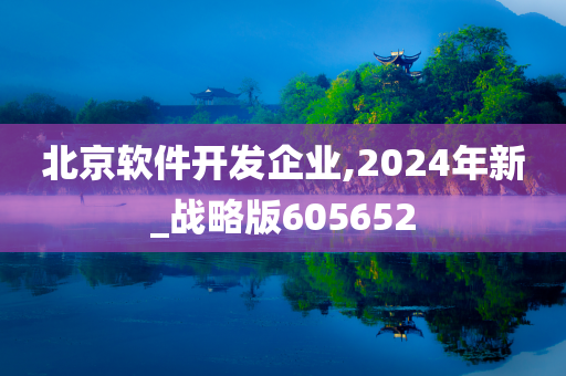 北京软件开发企业,2024年新_战略版605652