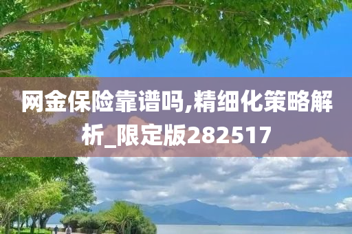 网金保险靠谱吗,精细化策略解析_限定版282517