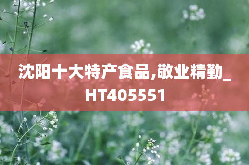 沈阳十大特产食品,敬业精勤_HT405551