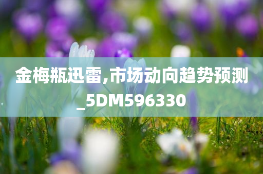 金梅瓶迅雷,市场动向趋势预测_5DM596330