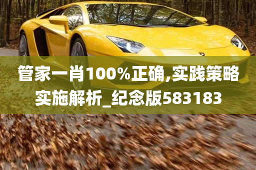 管家一肖100%正确,实践策略实施解析_纪念版583183