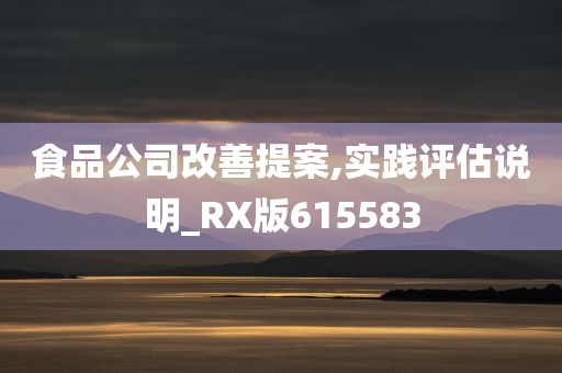 食品公司改善提案,实践评估说明_RX版615583