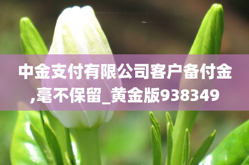 中金支付有限公司客户备付金,毫不保留_黄金版938349