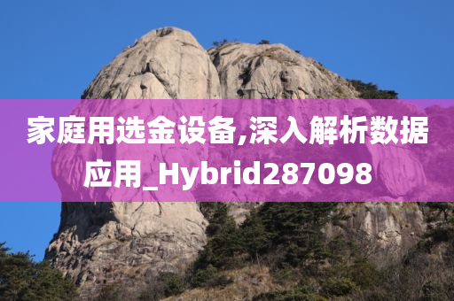 家庭用选金设备,深入解析数据应用_Hybrid287098