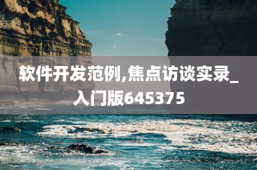 软件开发范例,焦点访谈实录_入门版645375