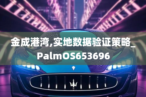 金成港湾,实地数据验证策略_PalmOS653696