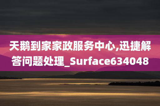 天鹅到家家政服务中心,迅捷解答问题处理_Surface634048