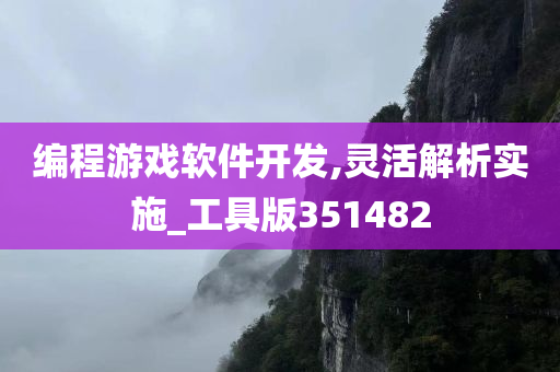 编程游戏软件开发,灵活解析实施_工具版351482