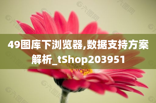 49图库下浏览器,数据支持方案解析_tShop203951