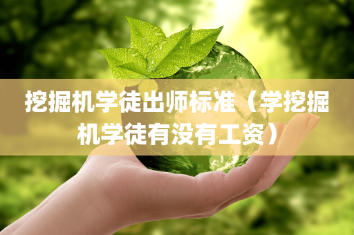 挖掘机学徒出师标准（学挖掘机学徒有没有工资）