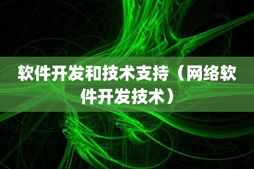 软件开发和技术支持（网络软件开发技术）