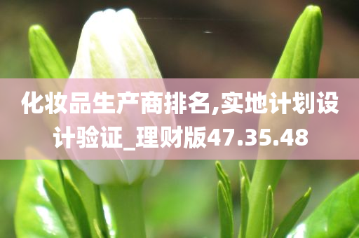 化妆品生产商排名,实地计划设计验证_理财版47.35.48