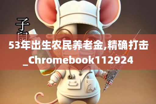 53年出生农民养老金,精确打击_Chromebook112924