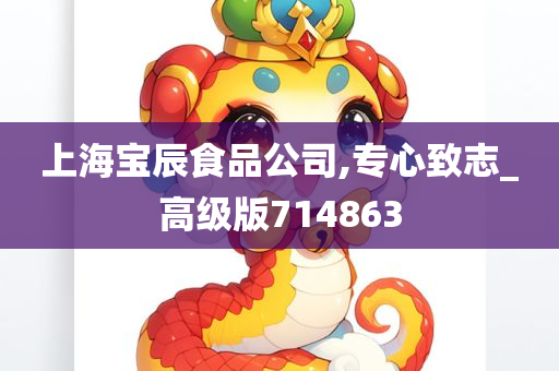 上海宝辰食品公司,专心致志_高级版714863