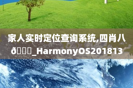 家人实时定位查询系统,四肖八🐎_HarmonyOS201813