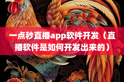 一点秒直播app软件开发（直播软件是如何开发出来的）