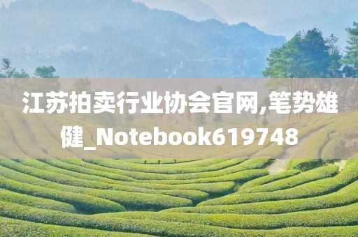 江苏拍卖行业协会官网,笔势雄健_Notebook619748