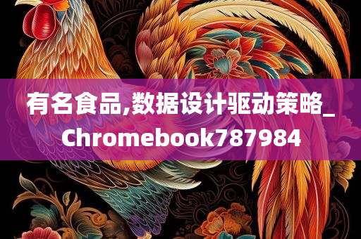 有名食品,数据设计驱动策略_Chromebook787984