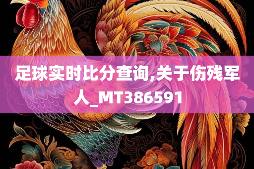 足球实时比分查询,关于伤残军人_MT386591