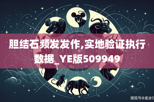 胆结石频发发作,实地验证执行数据_YE版509949