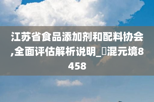 江苏省食品添加剂和配料协会,全面评估解析说明_‌混元境8458