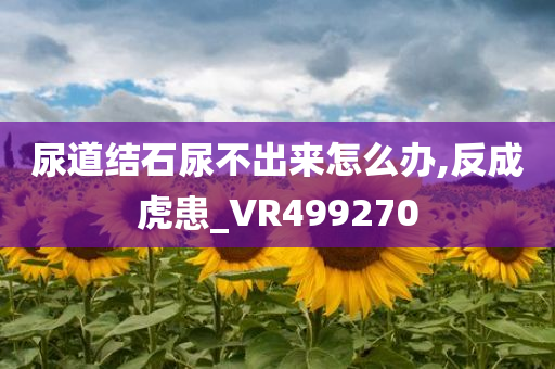 尿道结石尿不出来怎么办,反成虎患_VR499270