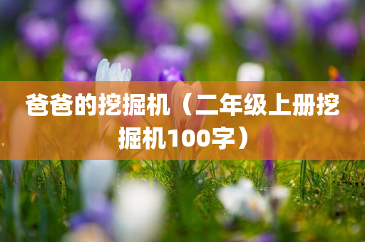 爸爸的挖掘机（二年级上册挖掘机100字）