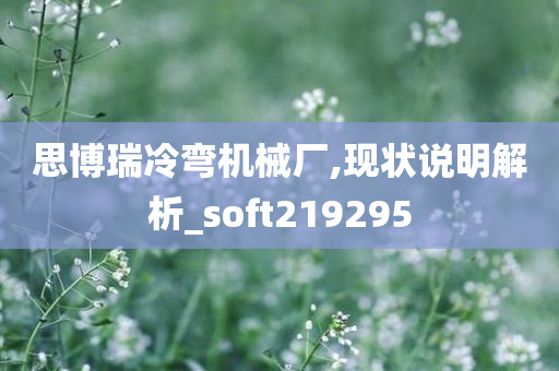 思博瑞冷弯机械厂,现状说明解析_soft219295