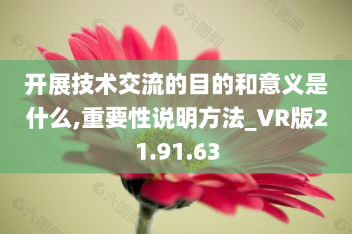 开展技术交流的目的和意义是什么,重要性说明方法_VR版21.91.63