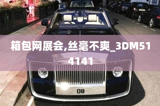 箱包网展会,丝毫不爽_3DM514141