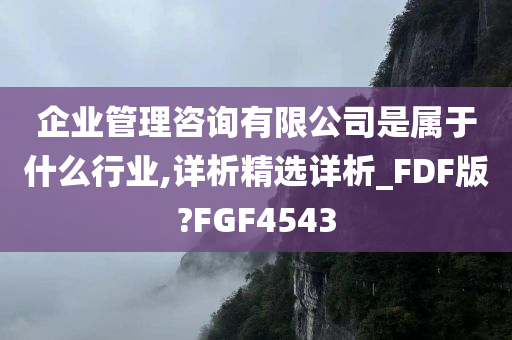 企业管理咨询有限公司是属于什么行业,详析精选详析_FDF版?FGF4543