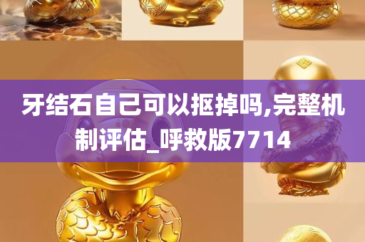 牙结石自己可以抠掉吗,完整机制评估_呼救版7714