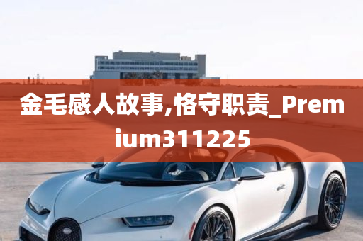 金毛感人故事,恪守职责_Premium311225