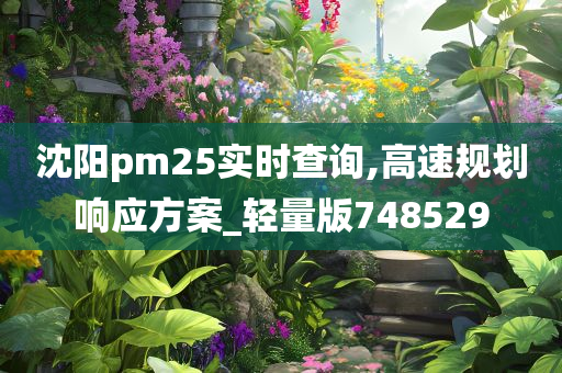 沈阳pm25实时查询,高速规划响应方案_轻量版748529