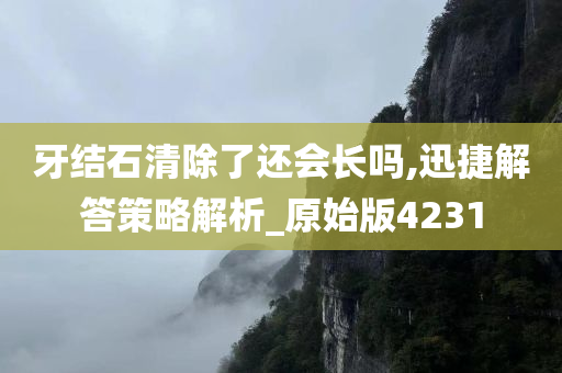 牙结石清除了还会长吗,迅捷解答策略解析_原始版4231