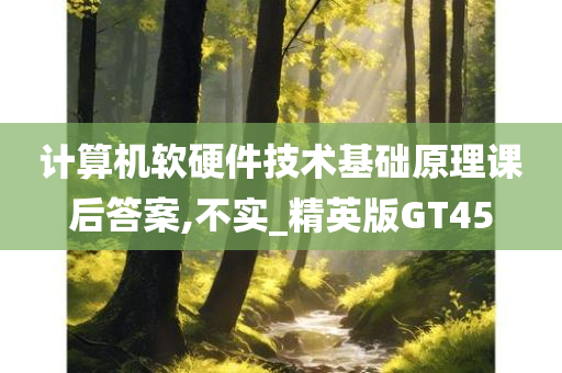 计算机软硬件技术基础原理课后答案,不实_精英版GT45