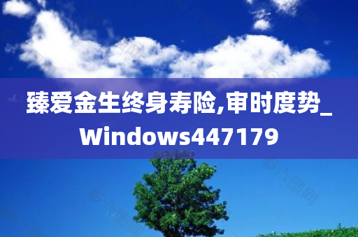 臻爱金生终身寿险,审时度势_Windows447179