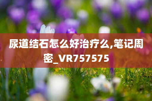 尿道结石怎么好治疗么,笔记周密_VR757575