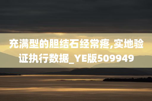 充满型的胆结石经常疼,实地验证执行数据_YE版509949