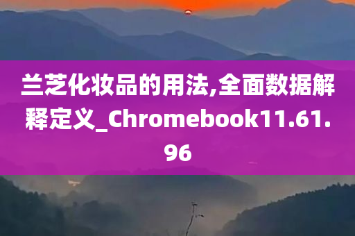 兰芝化妆品的用法,全面数据解释定义_Chromebook11.61.96