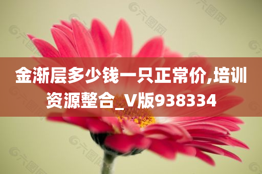 金渐层多少钱一只正常价,培训资源整合_V版938334