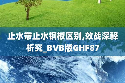 止水带止水钢板区别,效战深释析究_BVB版GHF87