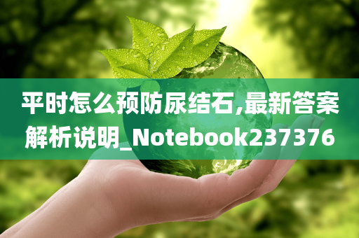 平时怎么预防尿结石,最新答案解析说明_Notebook237376