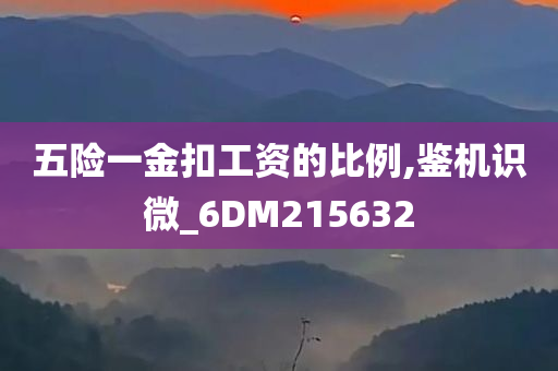 五险一金扣工资的比例,鉴机识微_6DM215632