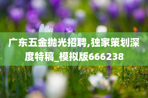 广东五金抛光招聘,独家策划深度特稿_模拟版666238