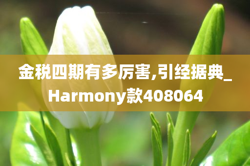 金税四期有多厉害,引经据典_Harmony款408064