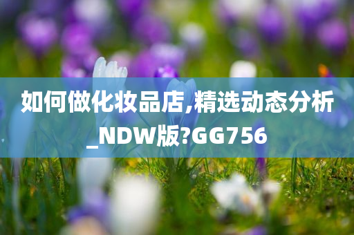 如何做化妆品店,精选动态分析_NDW版?GG756