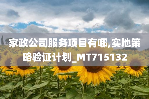 家政公司服务项目有哪,实地策略验证计划_MT715132